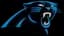 panthers logo
